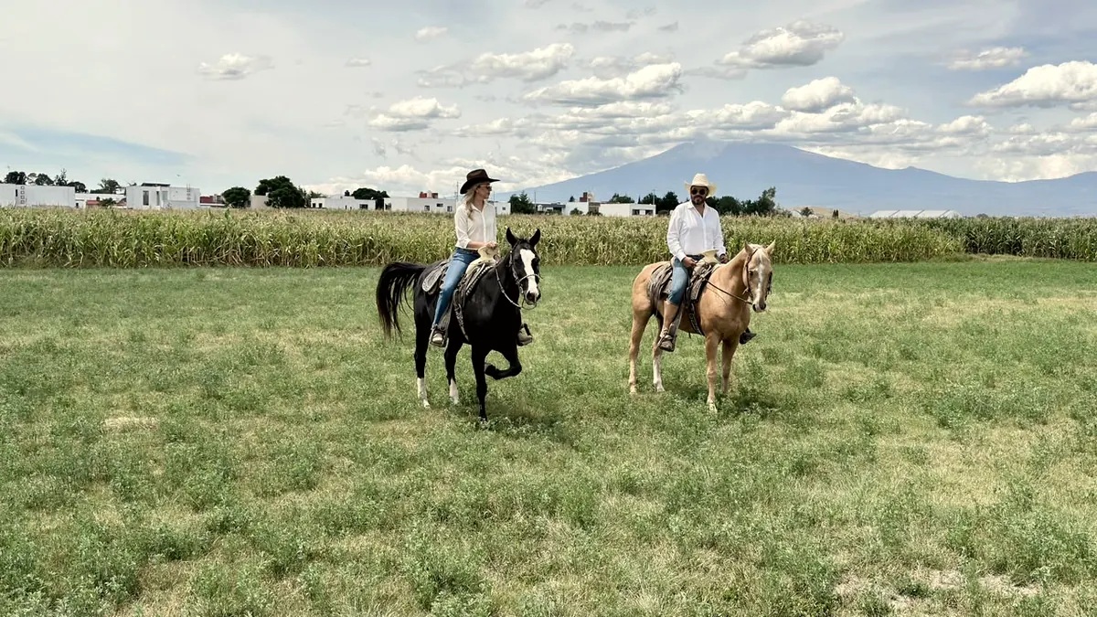 Cabalgando en el campo